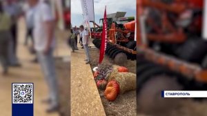 ЧЕМПИОНАТ ПО ПАХОТЕ ОТКРЫЛСЯ В СТАВРОПОЛЬСКОМ КРАЕ