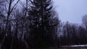 Весенняя Охота. Поход В ИЗБУ Боровую