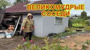 14/8 26  НЕДОБРОЕ УТРО. ПОЛНЫЙ ЗДЕЦ! КАМЕННЫЙ ВЕК. БУДЕТ ЛИ ЭТОМУ КАРАУЛУ КОНЕЦ?