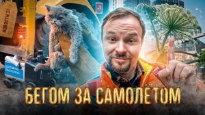 Остановили самолёт | Ночь в поликлинике | ИИ выписал штраф | Крокодил в квартире