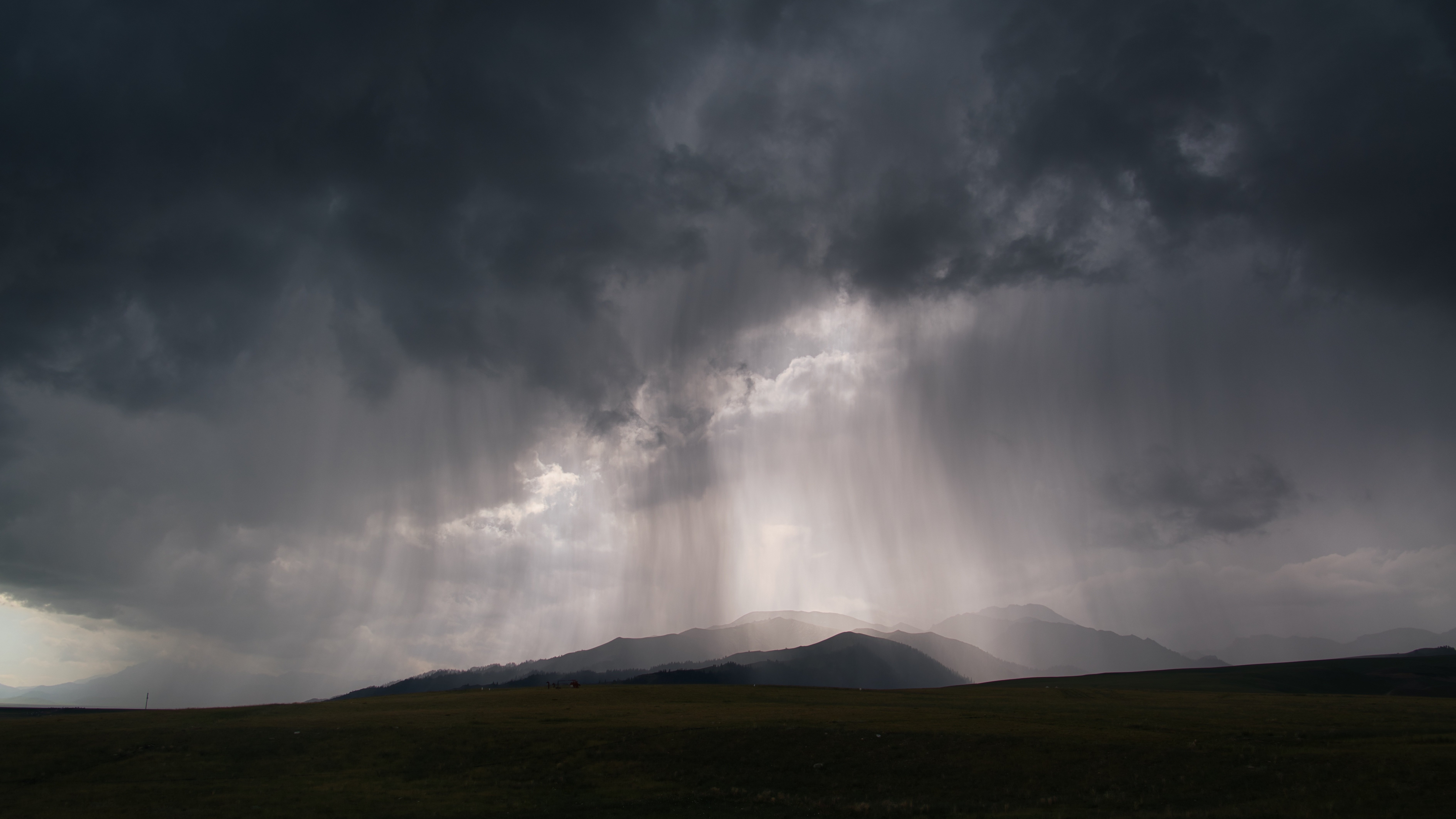 Heavy Rain