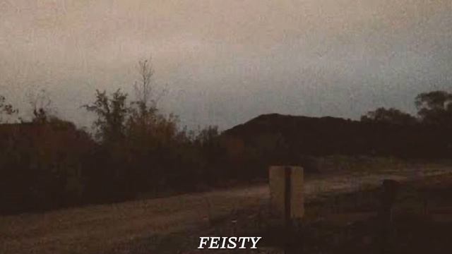 The Pretty Reckless - Harley Darling