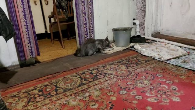 У Владимира все потихонечку. Всех с Медовым Спасом