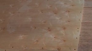 1000067068.mp4 (Собака слушает о технологии укладки л/фанеры в гостиной, на кухне в доме А-фрейм)