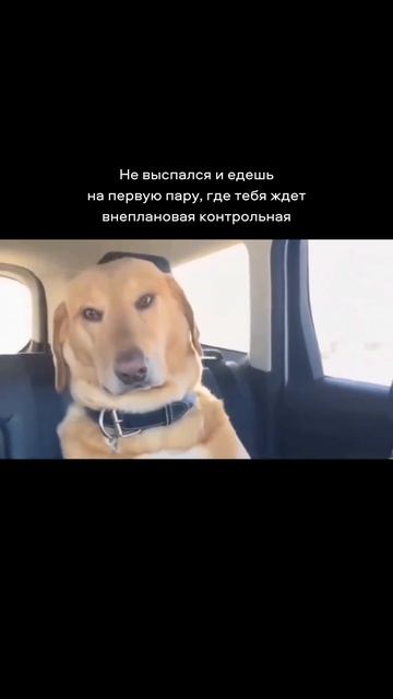 Совсем скоро...