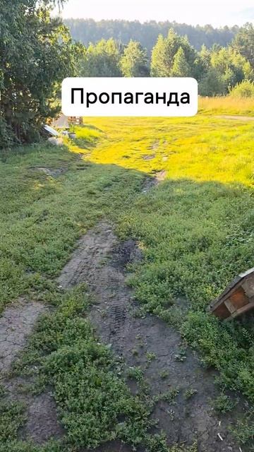 пропаганда