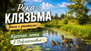 Мост через Клязьму в селе Образцово (Щелковский р-н, Московская обл.)