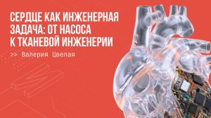 Сердце как инженерная задача: искусственное сердце vs тканевая инженерия. Лекция Валерии Цвелой