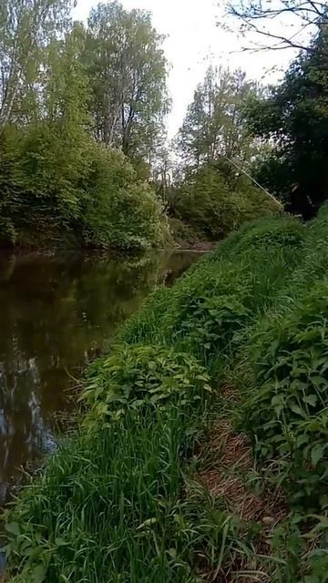 РЫБАЛКА МЫ СНОВА НА НОЛЬКЕ! РЕКА МАЛАЯ КОКШАГА! 17.05.2025 ГОДА! ЧАСТЬ-4 #fishing #рыбалка