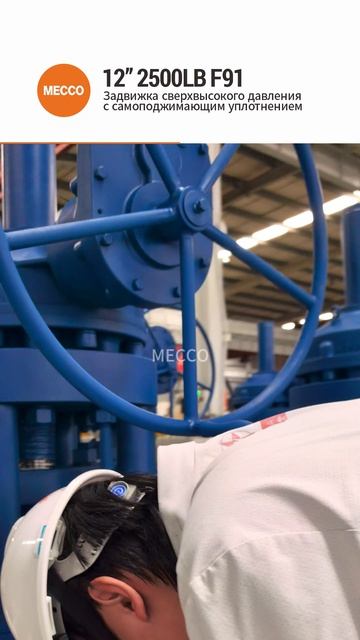 12'' 2500LB клиновой затвор с самоплотнением из материала F91→MECCO