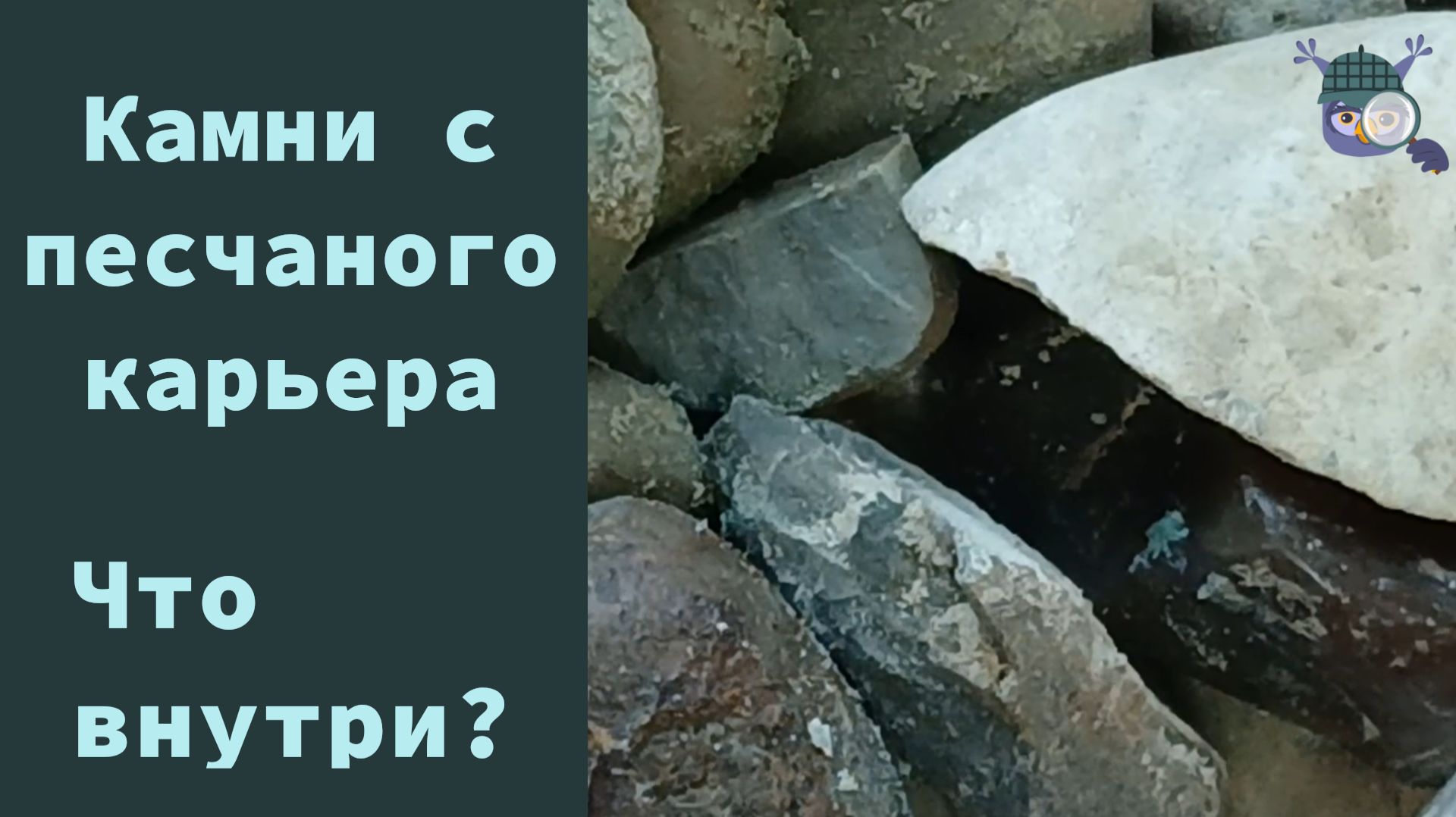 Камни с заброшенного песчаного карьера. Что внутри?