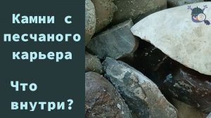 Камни с заброшенного песчаного карьера. Что внутри?