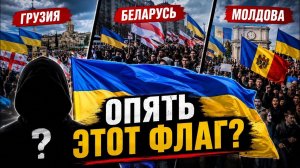 Кто раскачивает улицу? След украинских флагов. #новости #украина #россия