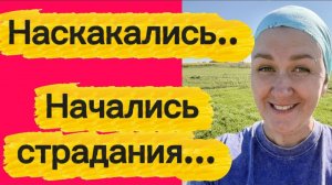 Заболела...