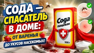 Сода — спасатель в доме: от варенья до укусов насекомых! 🐝🍓