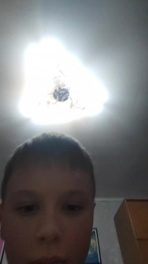 РУСАКЕН