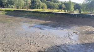 обзор водоёма РК «Фишка» Петряиха