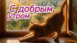 С добрым теплым утром. Шикарная музыкальная открытка.