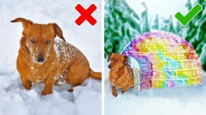 Фантастические гаджеты и лайфхаки для ваших милых питомцев