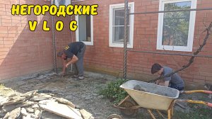 Раскурочили весь двор! Таких нутрий у нас еще не было! 03.08.26