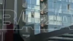 Рой пчёл оккупировал балкон на 19-м этаже новостройки во Владивостоке и фактически запер хозяйку