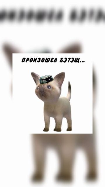 Татарские приколы - мемы