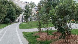 По Украинскому бульвару в Москве