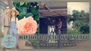 🏡 Вдали от города | Прогулка, огород и разговоры #35