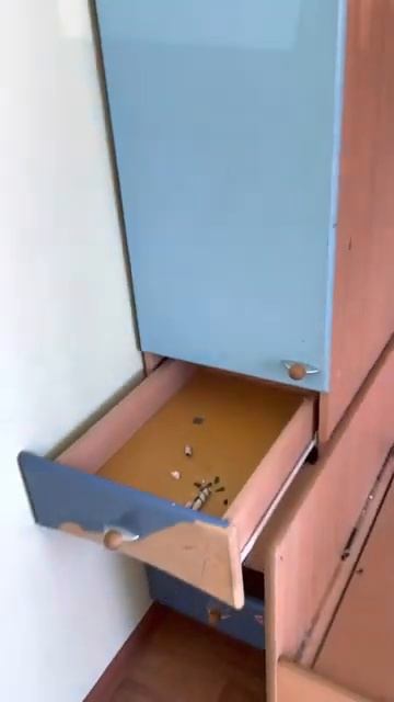 После квартирантов