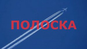 ПОЛОСКА. Стихи. Е. Виниченко, муз, аранж. А. Голуб, вокал. Л. Великанова, звук, монтаж. А. Макалиш