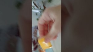 что делают бумажные собаки когда я ухожу в магазин