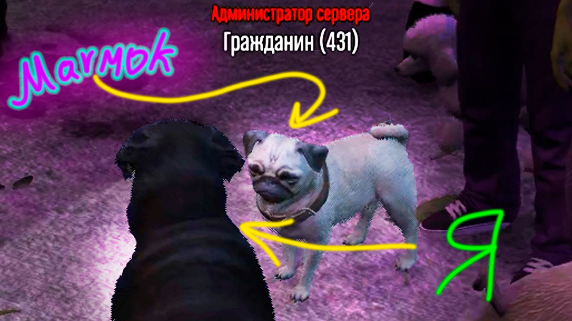 Приколы GTA 5 RolePlay