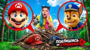 💀☢️ДРОН СНЯЛ MARIO И ЩЕНЯЧИЙ ПАТРУЛЬ В 3:00 НОЧИ!!! Они пропали! Вы не поверите!