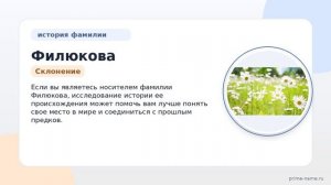 Фамилия Филюкова: происхождение, значение и склонение