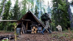 МЕДВЕДЬ ЗАЛЕЗ В ИЗБУ ГЛУХАРИНУЮ. ПОЙМАЛ КРОКОДИЛА НА СПИННИНГ. РЫБАЛКА С НОЧЕВКОЙ.