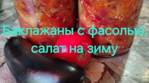 Баклажаны с фасолью, салат на зиму.