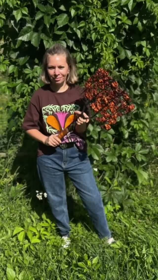 #шашлык