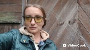 VLOG: Месяц без дачи в августе / Море флоксов, спелые сливы и огурцы.