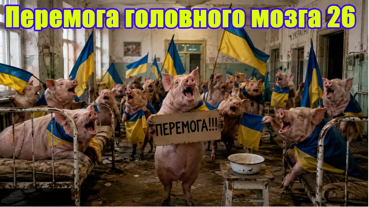Перемога Головного Мозга 26 серия