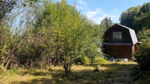 Медовый Спас - середина августа...