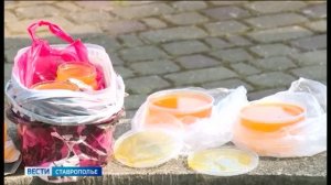 «Вести. Ставропольский край» 14.08.2026 (11.30)