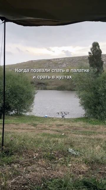 Едем