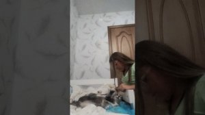 Бонька Бонька🤣😂