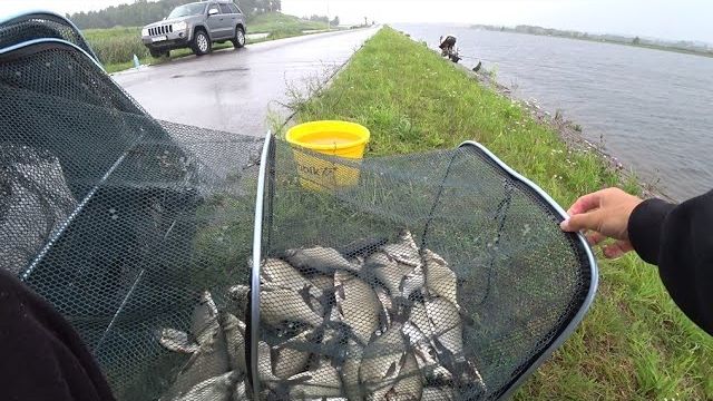 ЛОВЛЯ ЛЕЩА НА ФИДЕР. ГОРОХ+ПЕРЛОВКА+ПШЕНО=ОТЛИЧНЫЙ УЛОВ. ПОГОДКА ШЕПЧЕТ А НАМ ВСЕ НИ ПО ЧЕМ)))