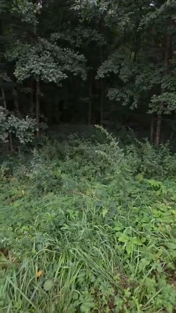 50:32:0020103:651
