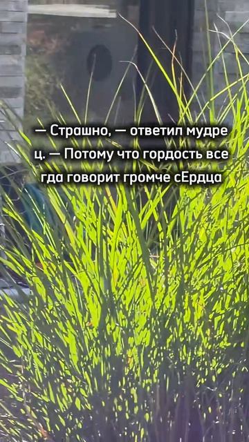 монолог мудреца