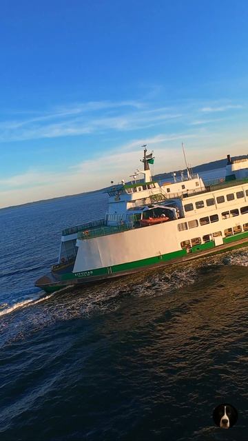 Паром Сиэтл — остров Вашон с высоты птичьего полёта! 🌊🚢 | DJI Avata