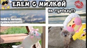КУДА МЫ ПОЕХАЛИ С УТОЧКОЙ МИЛКОЙ?) НА 10 ДНЕЙ!!!💫✨