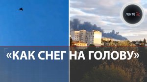 ВС РФ и ВСУ обменялись сообщениями | Заморозки на Украине не будет — глава МИД России