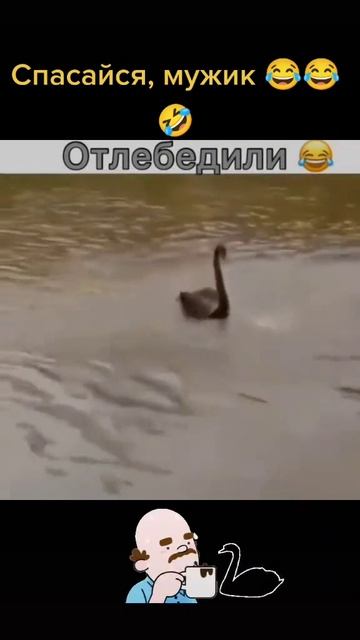 Это, ты что ли тут?!..🤣
